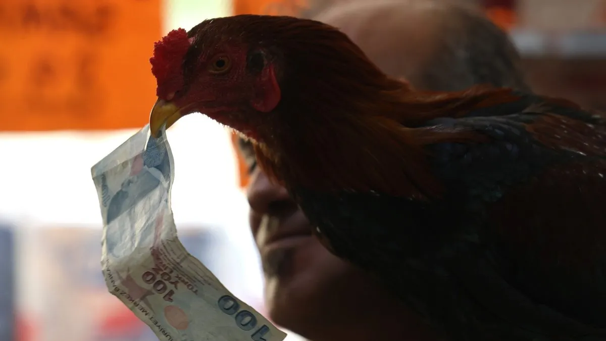 Böyle dostluk ne görüldü ne duyuldu: Horoz ve keçileriyle arkadaş oldu!