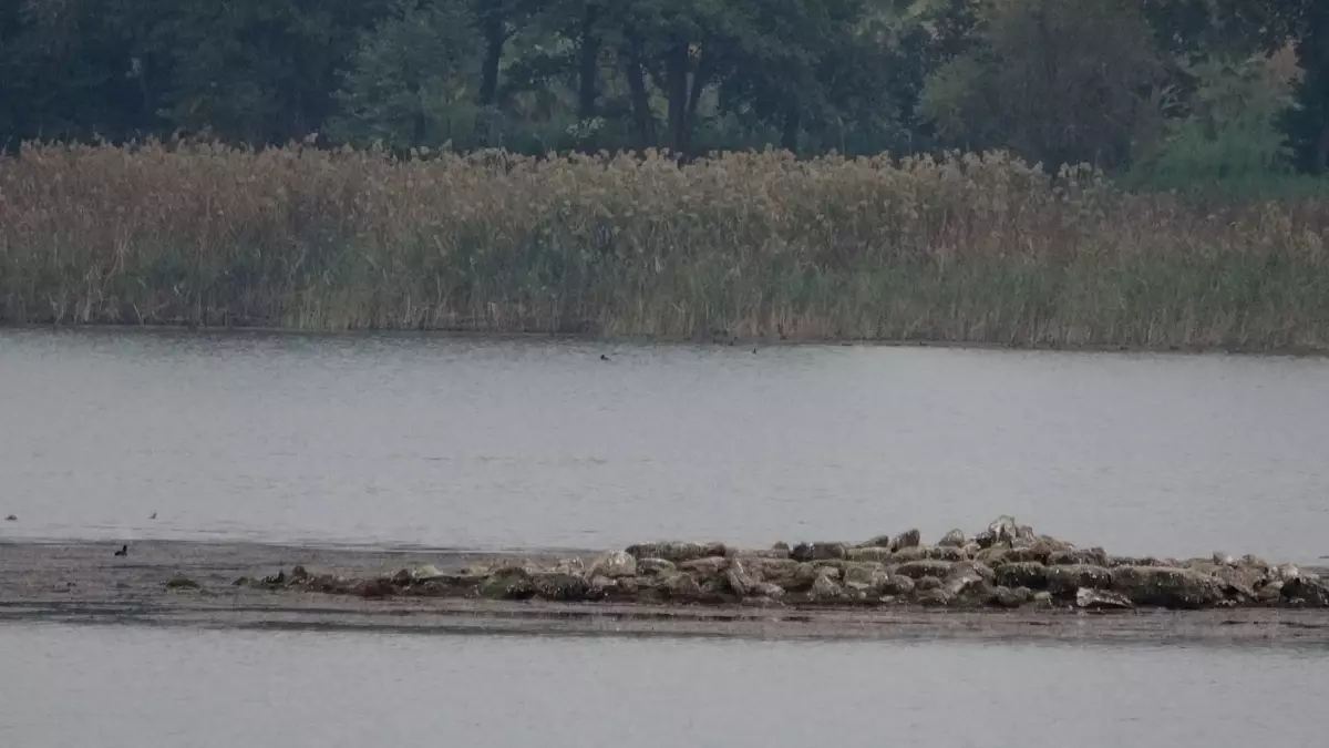 Sapanca Gölü’nde Tarihi Kilise Kalıntısı Ortaya Çıktı